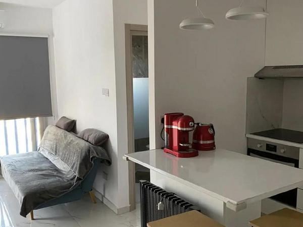 1 bedroom apartment for rent agios tychonas limassol 8665252 image 16338606
