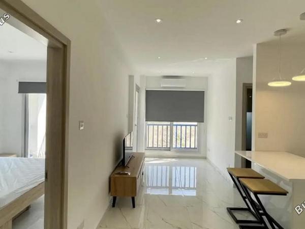 1 bedroom apartment for rent agios tychonas limassol 8665252 image 16338610