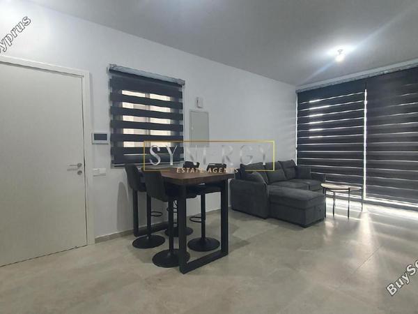 1 bedroom apartment for rent pano lakatamia nicosia 8525252 image 15960952