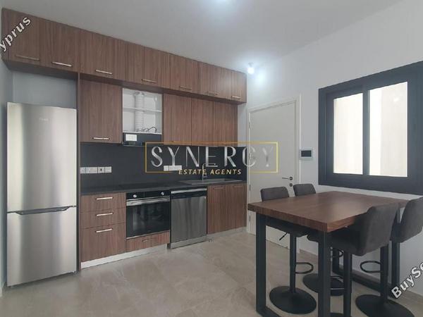 1 bedroom apartment for rent pano lakatamia nicosia 8525252 image 15960958