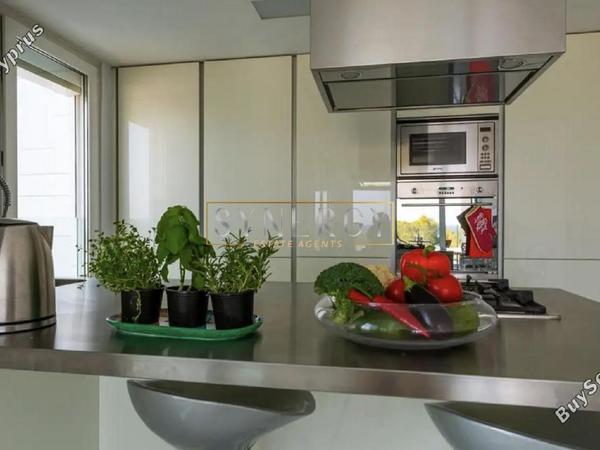 2 bedroom apartment for rent potamos germasogeias limassol 8500352 image 15426941