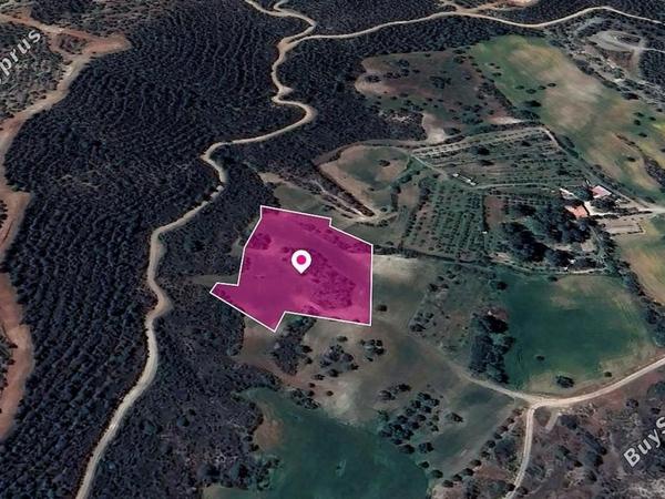 land for sale kofinou larnaca 8629352 image 15867472