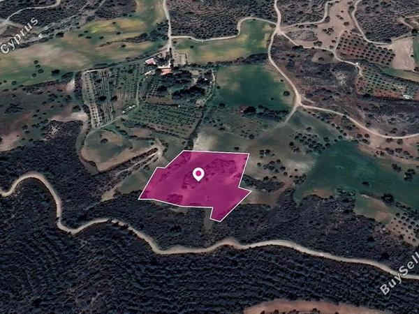 land for sale kofinou larnaca 8629352 image 15867473