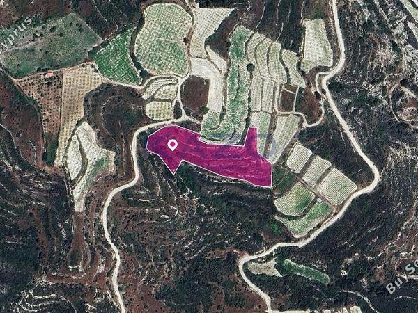 land for sale koilani limassol 1736352 image 14156065