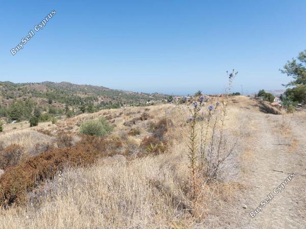 land for sale korakou nicosia 946352 image 3002741