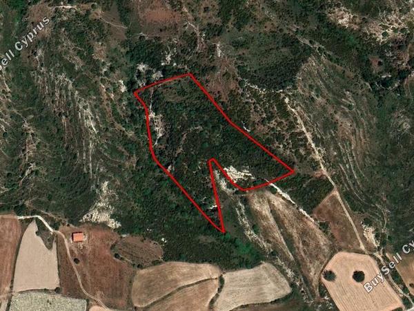 land for sale peyia paphos 966352 image 2806503