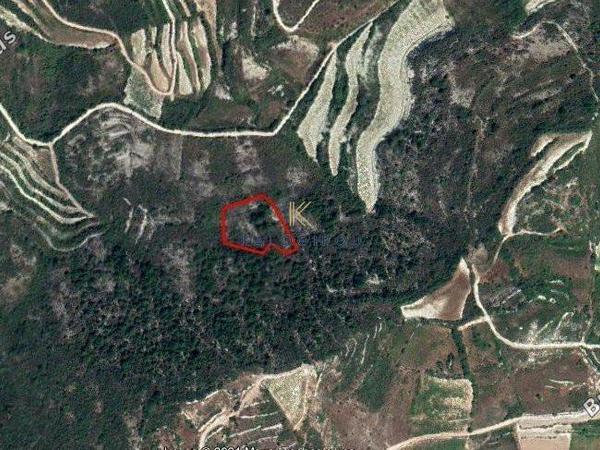 plot for sale koilani limassol 1195352 image 5577600