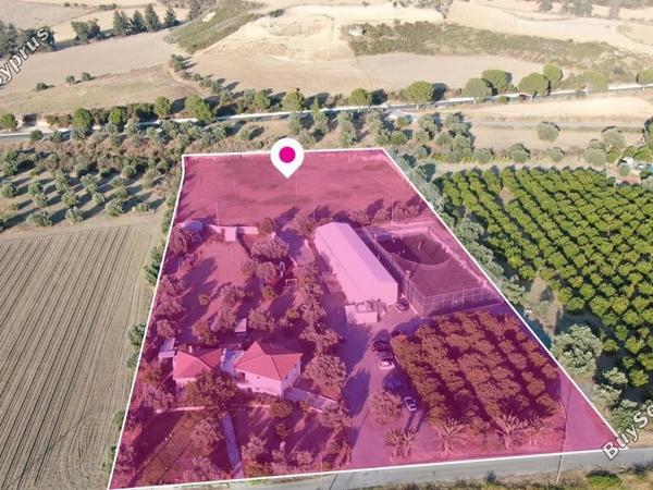 studio building for sale poli chrysochous paphos 8645352 image 15933935