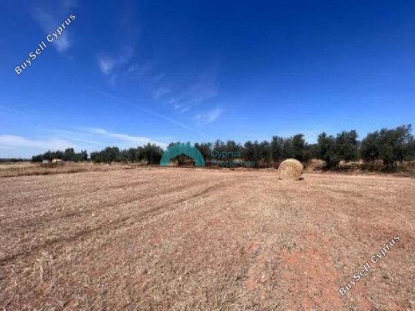 land for sale achna famagusta 8350452 image 16017086