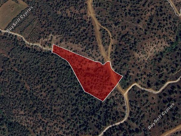 land for sale agios theodoros soleas nicosia 7868452 image 10918255