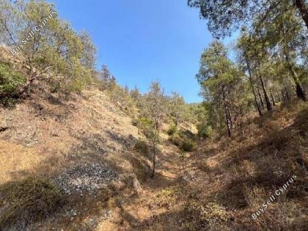 land for sale agios theodoros soleas nicosia 7868452 image 10918256