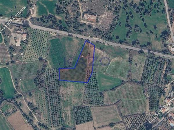 land for sale paramali limassol 8913452 image 17516296