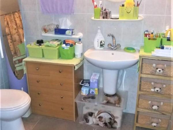 3 bedroom apartment for sale katholiki limassol 7739552 image 12369393