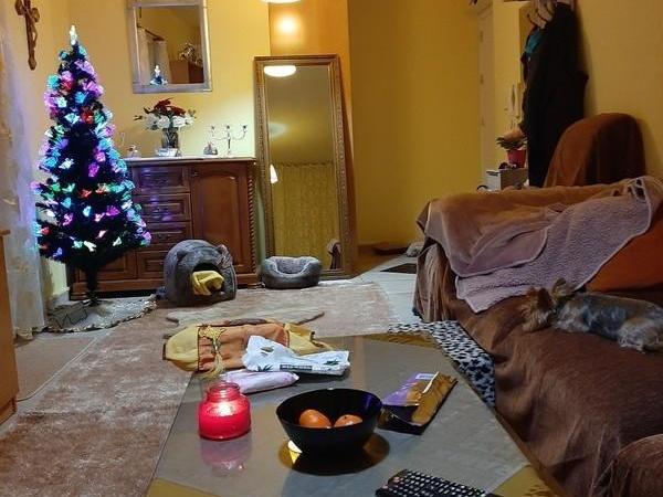 3 bedroom apartment for sale katholiki limassol 7739552 image 12369413
