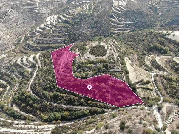 land for sale koili paphos 8629552 image 15868884