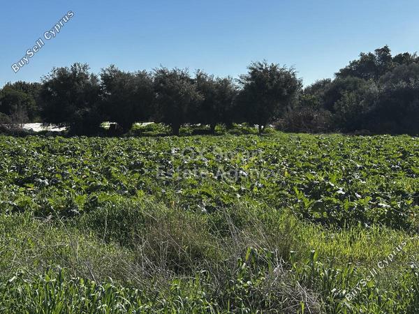 land for sale protaras famagusta 1659552 image 7243153
