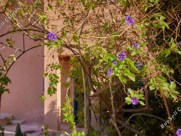 3 bedroom semi detached house for sale kato paphos paphos 7643652 image 12728674