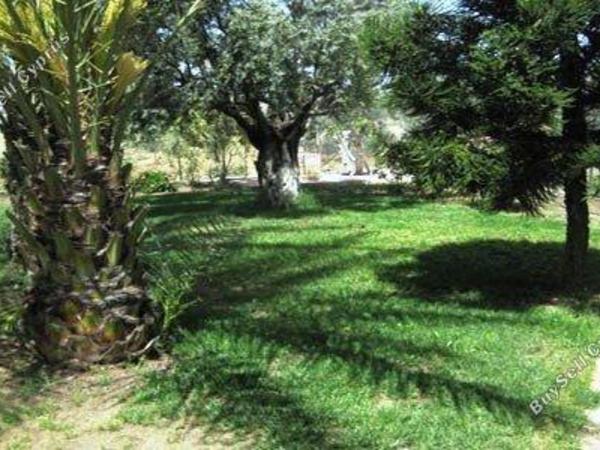 4 bedroom detached house for sale kallithea nicosia 1684652 image 4404729