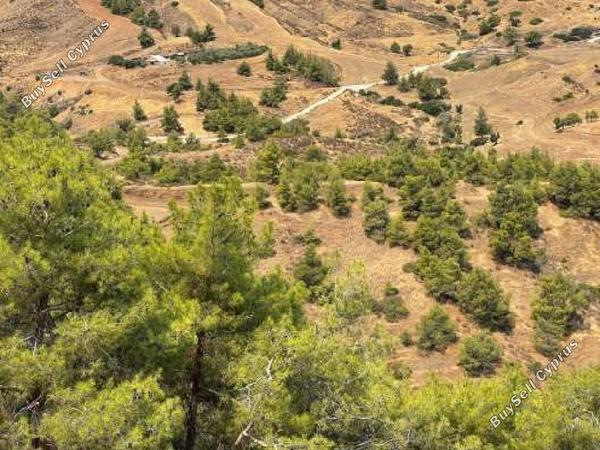land for sale pano pyrgos nicosia 945652 image 15600567