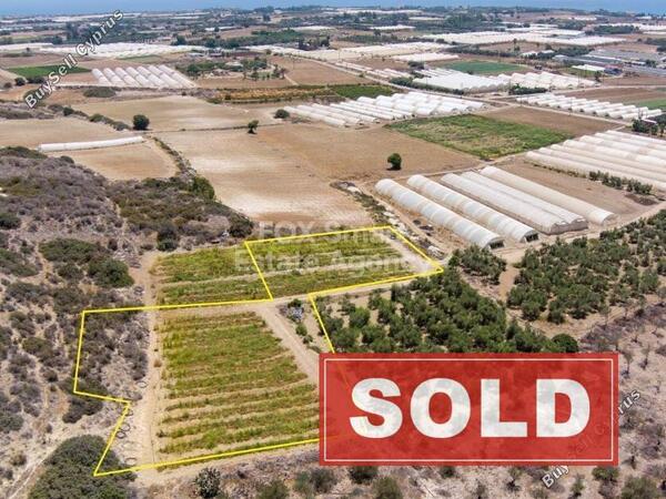 studio commercial development sold maroni larnaca 1225652 image 2322259
