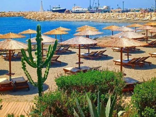 3 bedroom detached house for rent zygi larnaca 8758752 image 16528528