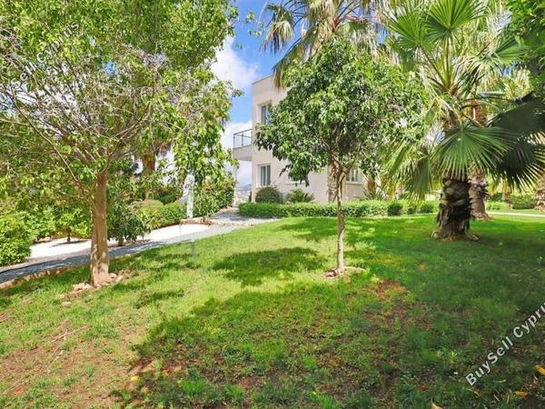 5 bedroom detached house for sale peyia paphos 8785752 image 16686411