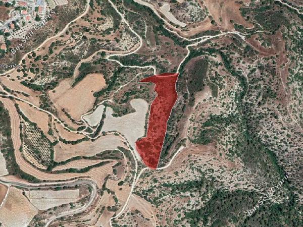land for sale eledio paphos 962752 image 15600719