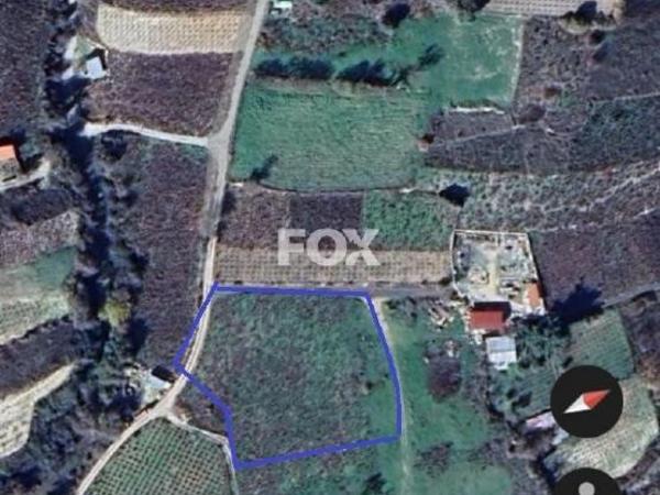 land for sale omodos limassol 1810752 image 6583515