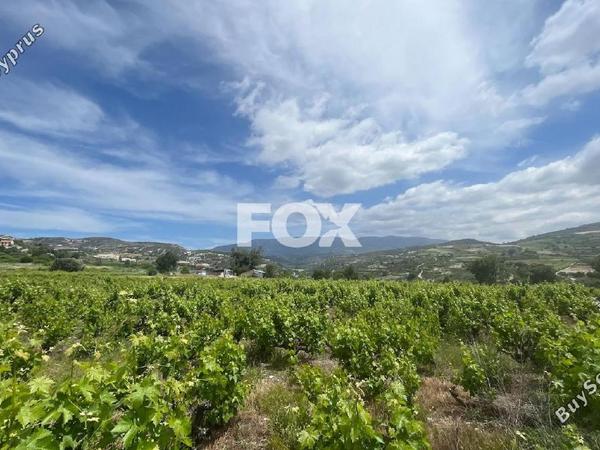 land for sale omodos limassol 1810752 image 6583516