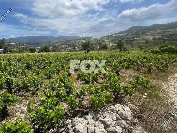 land for sale omodos limassol 1810752 image 6583517
