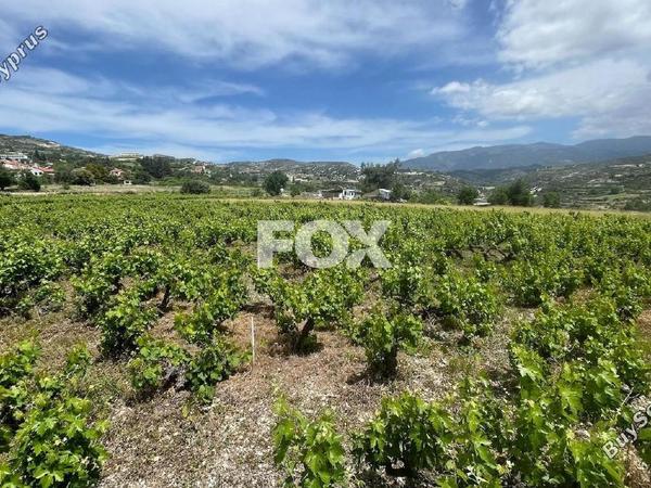 land for sale omodos limassol 1810752 image 6583518