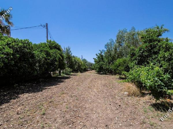 3 bedroom detached house for sale kiti larnaca 8680852 image 16088200