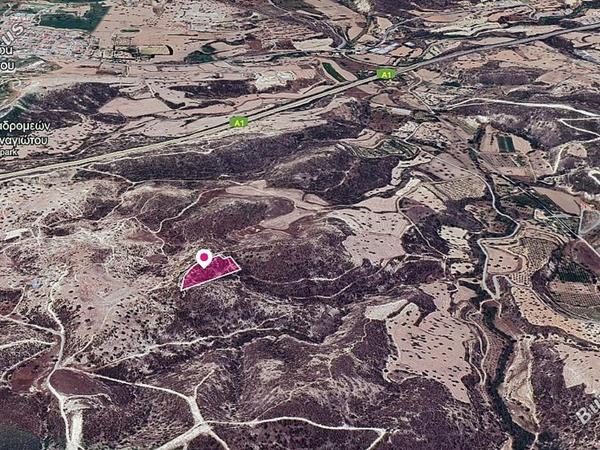 land for sale kofinou larnaca 1215852 image 2608348