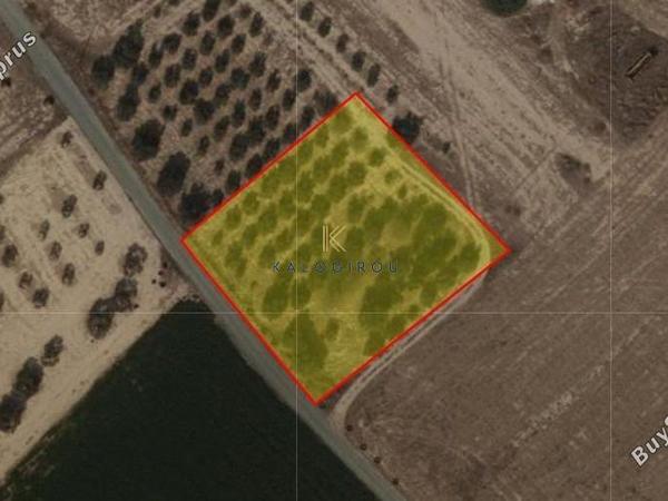 land for sale mazotos larnaca 1593852 image 5701813