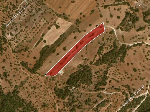 land for sale neo chorio paphos 945852 image 15599725