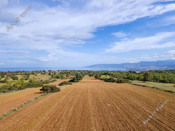 land for sale neo chorio paphos 945852 image 15599727