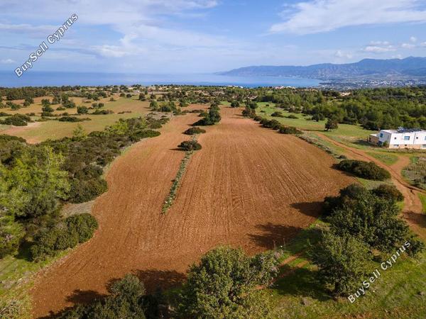 land for sale neo chorio paphos 945852 image 15599728