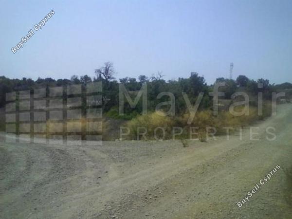 land for sale skarinou larnaca 7873852 image 11395630