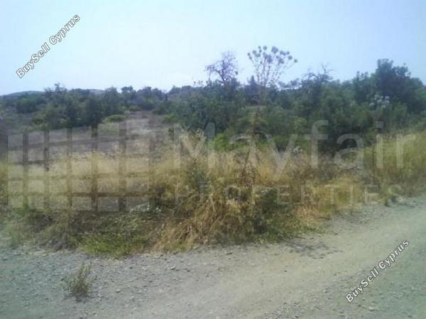 land for sale skarinou larnaca 7873852 image 11395632