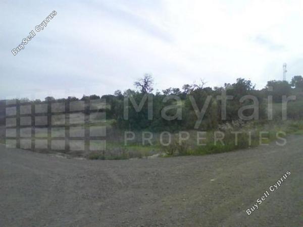 land for sale skarinou larnaca 7873852 image 11395633