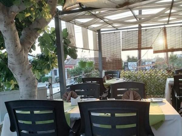 studio commercial building for sale tala paphos 1353952 image 5592738