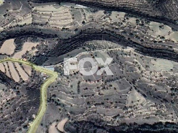 land for sale dora limassol 1147062 image 5546818