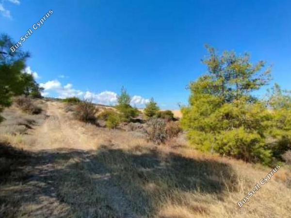 land for sale nikitari nicosia 946062 image 6463031