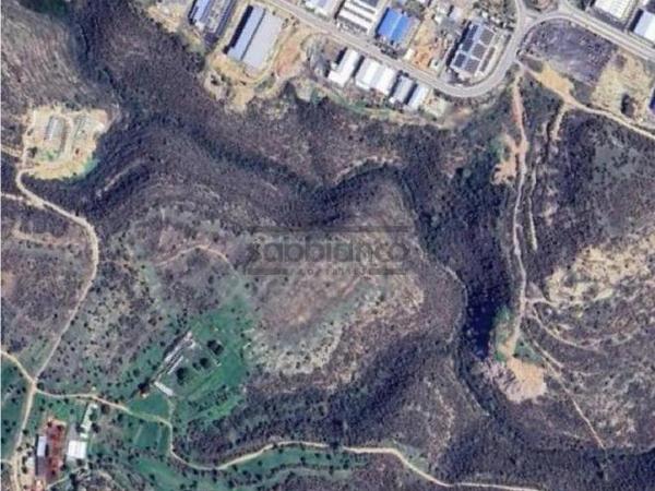 land for sale ypsonas limassol 8738062 image 16358900