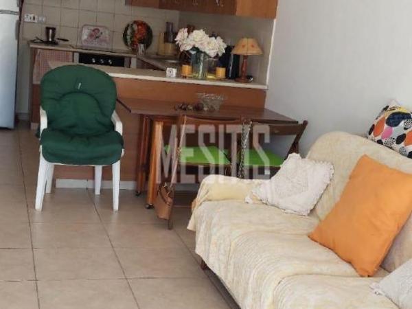 studio apartment for sale oroklini larnaca 1811062 image 10529149