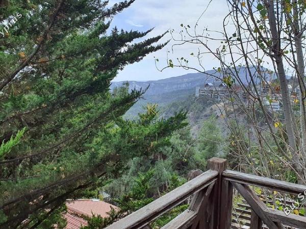 3 bedroom detached house for sale pano platres limassol 1843162 image 9913684