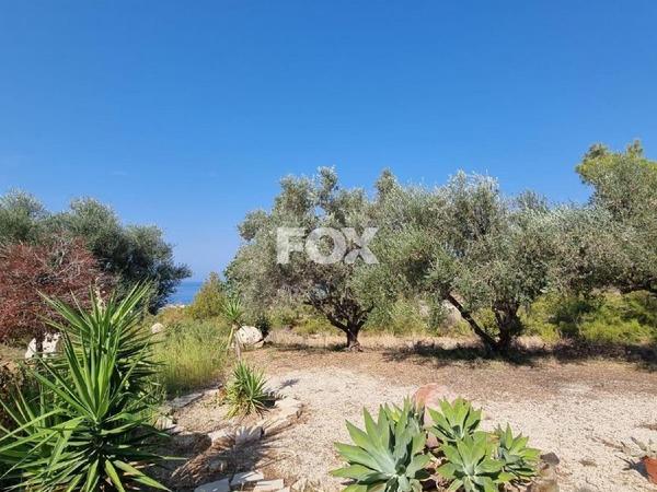 4 bedroom detached house for sale agia marina chrysochous paphos 1648162 image 11240885