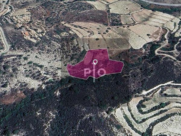 land for sale agios mamas limassol 8275162 image 15158037