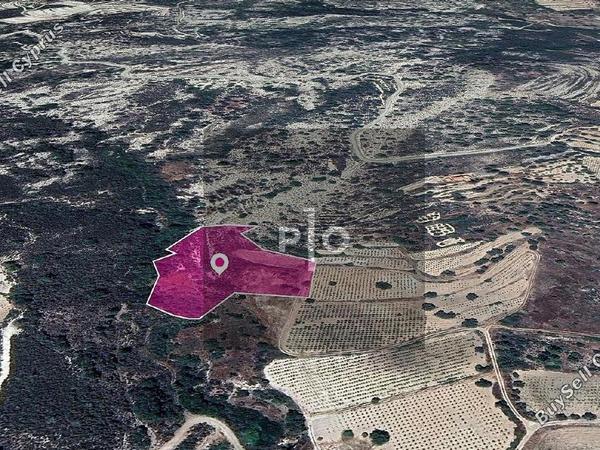 land for sale agios mamas limassol 8275162 image 15158039