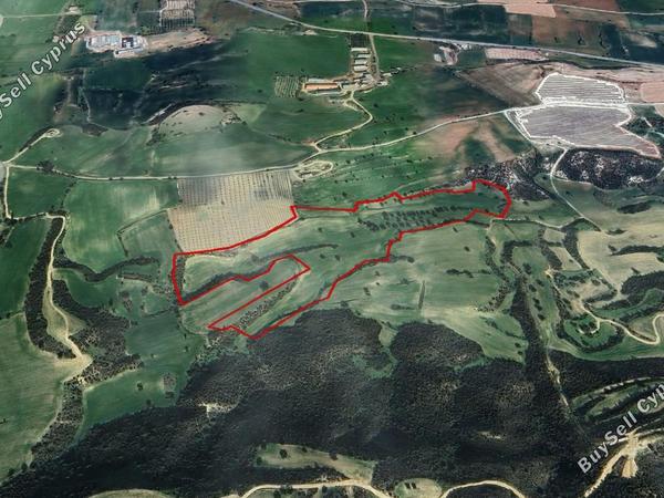 land for sale kofinou larnaca 7926162 image 13133156